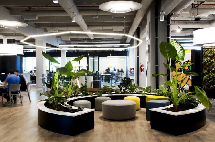 Area de trabajo con piso de madera en las oficinas de Mercado Libre